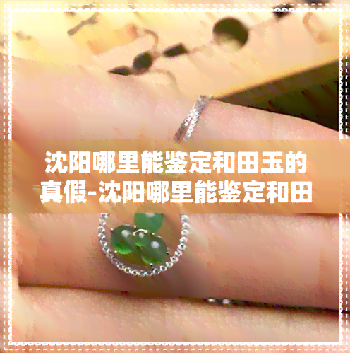 探秘沈陽 尋找和田玉真?zhèn)舞b別的文化投資指南